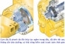 Máy xúc lật CHANGLIN WA380 / gầu 3,1m3